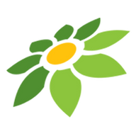 NGEWE IBU KANDUNG